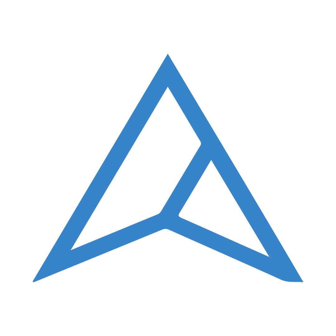 Logo Vertex Team